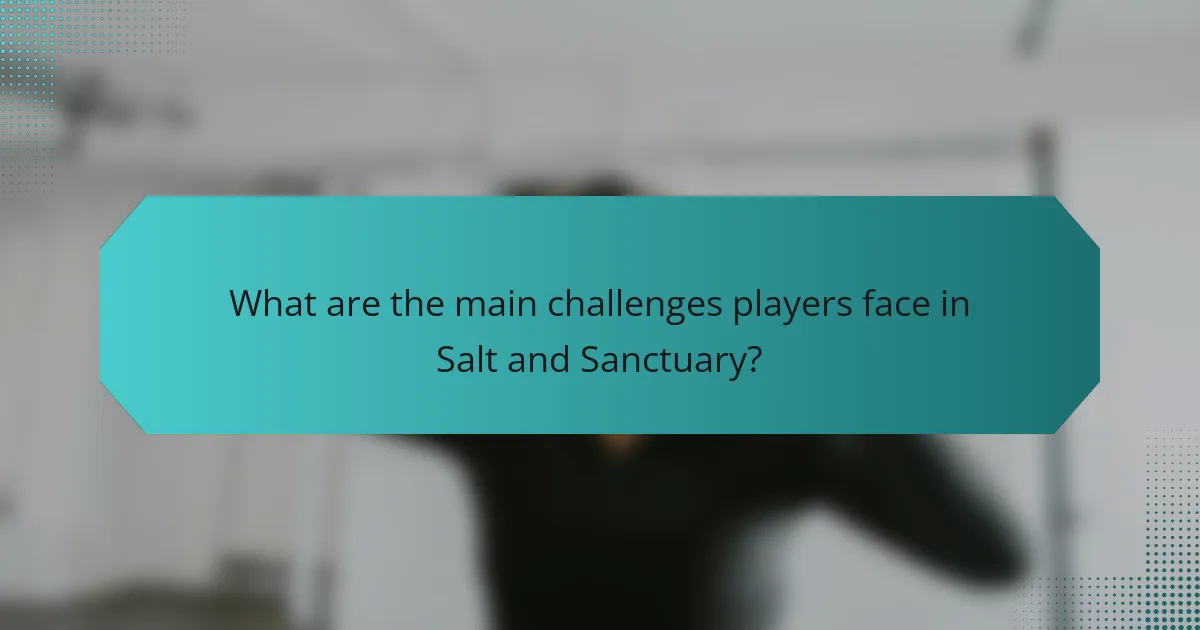 What are the main challenges players face in Salt and Sanctuary?