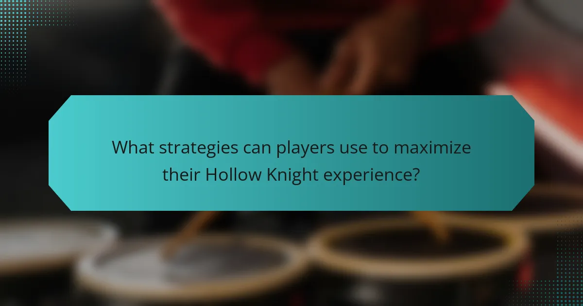 What strategies can players use to maximize their Hollow Knight experience?
